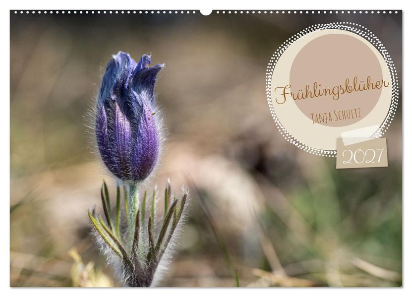 Frühlingsblüher - Farbenpracht nach dem Winter (Wandkalender 2027 DIN A2 quer) CALVENDO Monatskalender