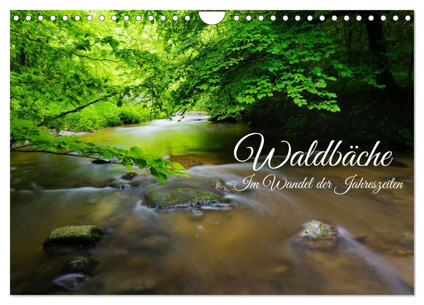 Waldbäche - Im Wandel der Jahreszeiten (Wandkalender 2027 DIN A4 quer) CALVENDO Monatskalender