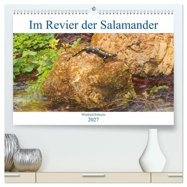 Im Revier der Salamander (hochwertiger Premium Wandkalender 2027 DIN A2 quer) Kunstdruck in Hochglanz