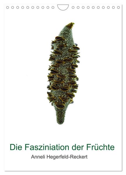 Die Faszination der Früchte (Wandkalender 2027 DIN A4 hoch) CALVENDO Monatskalender