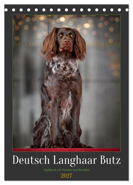 Deutsch Langhaar Butz - Jagdhund mit Passion und Herzblut (Tischkalender 2027 DIN A5 hoch) CALVENDO Monatskalender