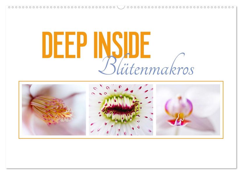 DEEP INSIDE - Blütenmakros (Wandkalender 2027 DIN A2 quer) CALVENDO Monatskalender