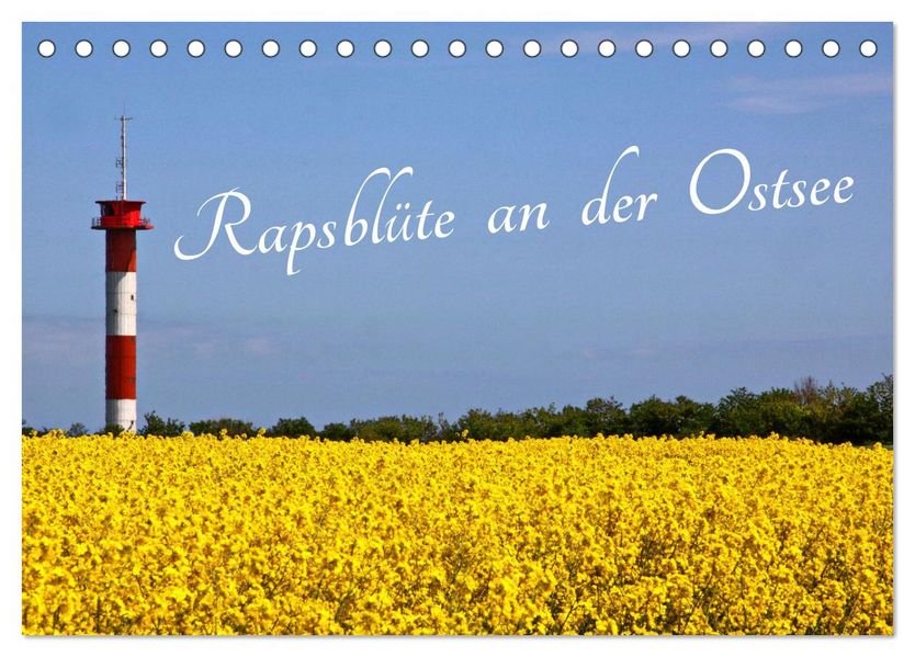 Rapsblüte an der Ostsee (Tischkalender 2027 DIN A5 quer) CALVENDO Monatskalender