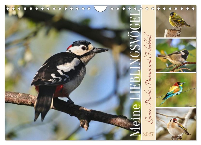 Meine Lieblingsvögel (Wandkalender 2027 DIN A4 quer) CALVENDO Monatskalender