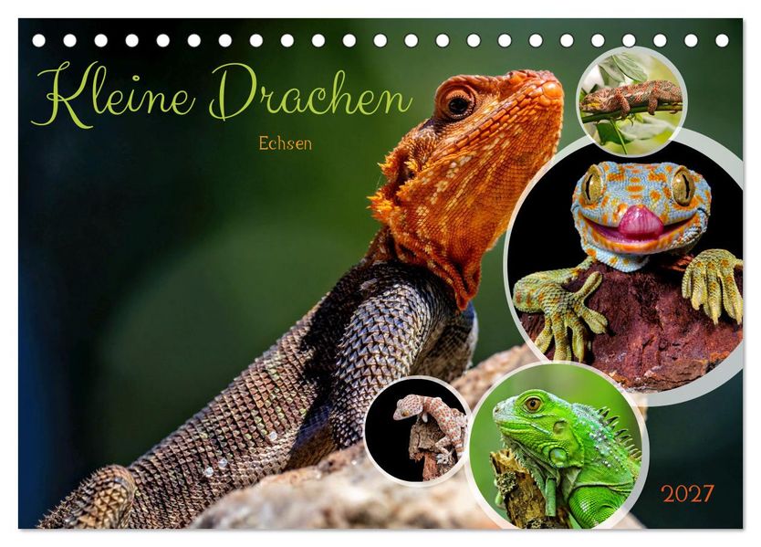 Kleine Drachen - Echsen (Tischkalender 2027 DIN A5 quer) CALVENDO Monatskalender