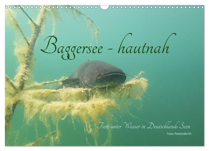 Baggersee -hautah (Wandkalender 2027 DIN A3 quer) CALVENDO Monatskalender