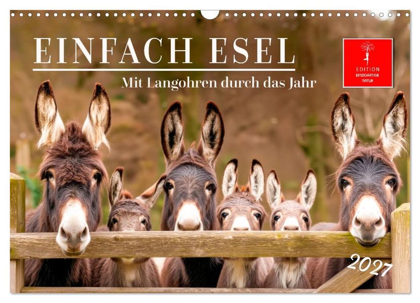 Einfach Esel - Mit Langohren durch das Jahr (Wandkalender 2027 DIN A3 quer) CALVENDO Monatskalender