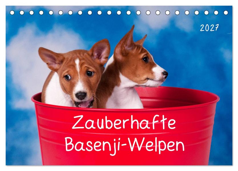 Zauberhafte Basenji-Welpen (Tischkalender 2027 DIN A5 quer) CALVENDO Monatskalender