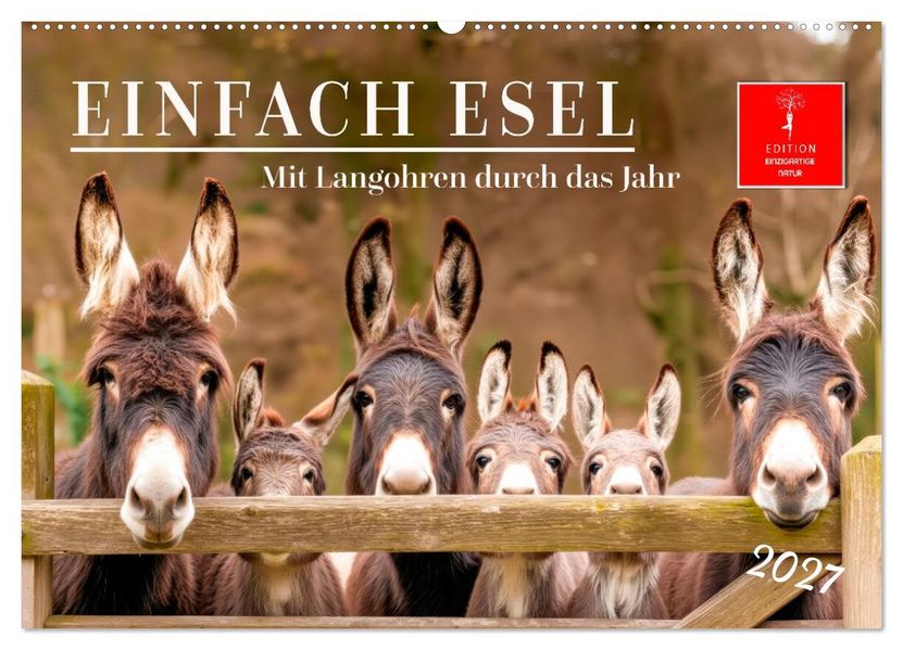 Einfach Esel - Mit Langohren durch das Jahr (Wandkalender 2027 DIN A2 quer) CALVENDO Monatskalender