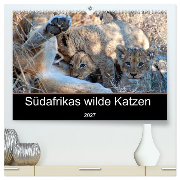 Südafrikas wilde Katzen (hochwertiger Premium Wandkalender 2027 DIN A2 quer) Kunstdruck in Hochglanz