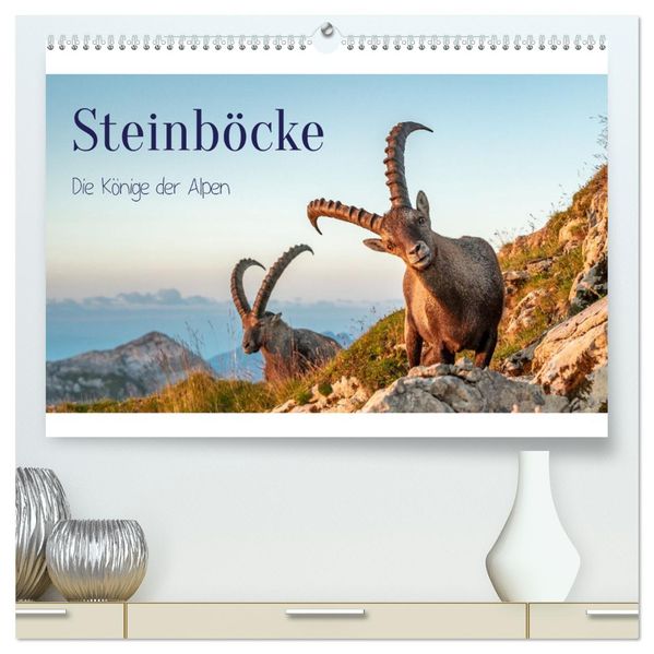 Steinböcke - Die Könige der Alpen (hochwertiger Premium Wandkalender 2027 DIN A2 quer) Kunstdruck in Hochglanz