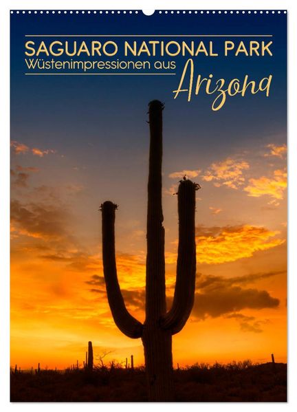 SAGUARO NATIONAL PARK Wüstenimpressionen aus Arizona (Wandkalender 2027 DIN A2 hoch) CALVENDO Monatskalender