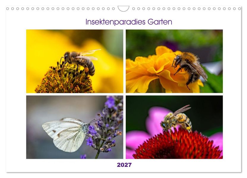Insektenparadies Garten (Wandkalender 2027 DIN A3 quer) CALVENDO Monatskalender