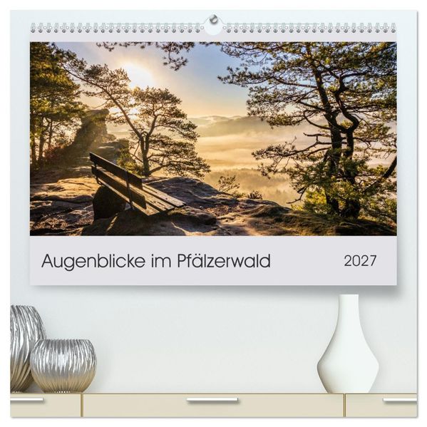 Augenblicke im Pfälzerwald (hochwertiger Premium Wandkalender 2027 DIN A2 quer) Kunstdruck in Hochglanz