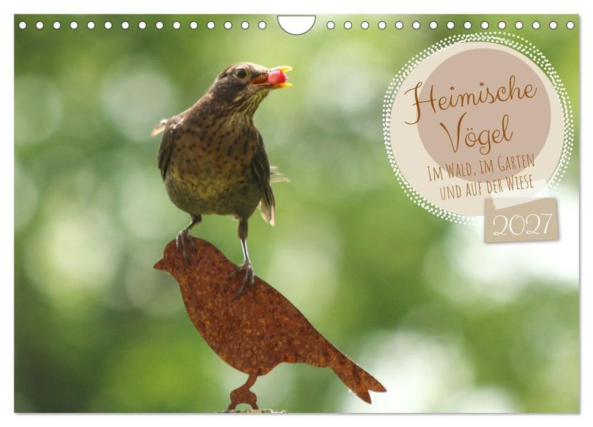 Heimische Vögel - Im Wald im Garten und auf der Wiese (Wandkalender 2027 DIN A4 quer) CALVENDO Monatskalender