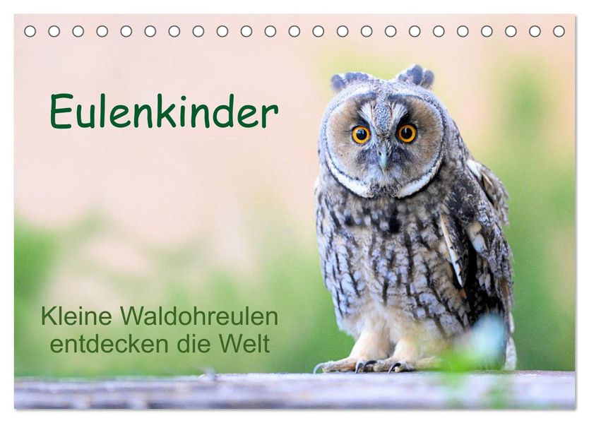 Eulenkinder - Kleine Waldohreulen entdecken die Welt (Tischkalender 2027 DIN A5 quer) CALVENDO Monatskalender