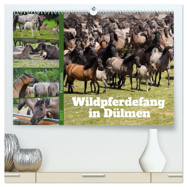 Faszination Wildpferdefang in Dülmen (hochwertiger Premium Wandkalender 2027 DIN A2 quer) Kunstdruck in Hochglanz