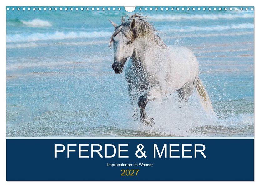 PFERDE & MEER (Wandkalender 2027 DIN A3 quer) CALVENDO Monatskalender