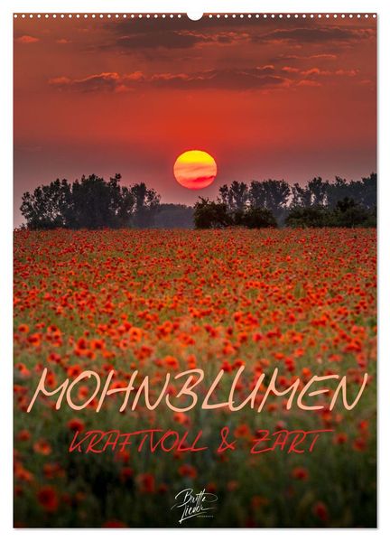 Mohnblumen - kraftvoll und zart (Wandkalender 2027 DIN A2 hoch) CALVENDO Monatskalender