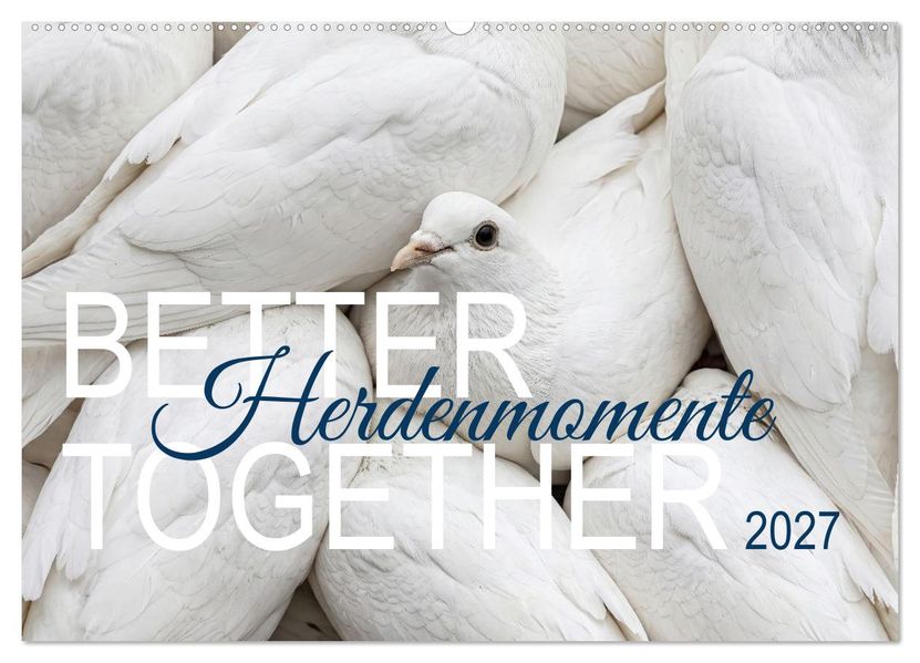 Better Together - Herdenmomente (Wandkalender 2027 DIN A2 quer) CALVENDO Monatskalender