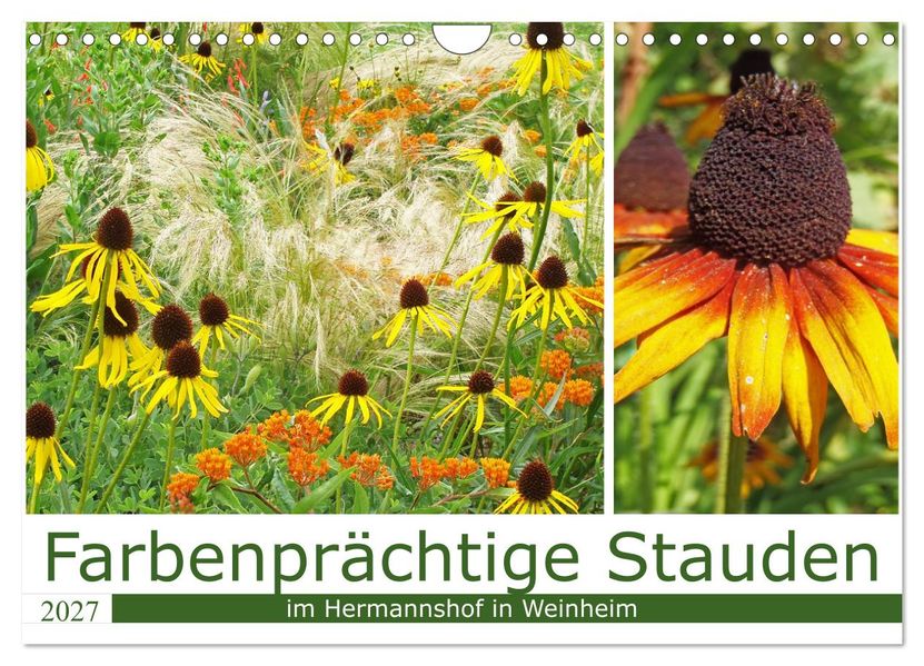 Farbenprächtige Stauden im Hermannshof in Weinheim (Wandkalender 2027 DIN A4 quer) CALVENDO Monatskalender