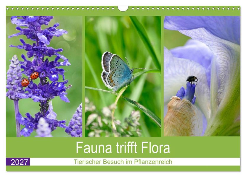 Fauna trifft Flora - Tierischer Besuch im Pflanzenreich (Wandkalender 2027 DIN A3 quer) CALVENDO Monatskalender