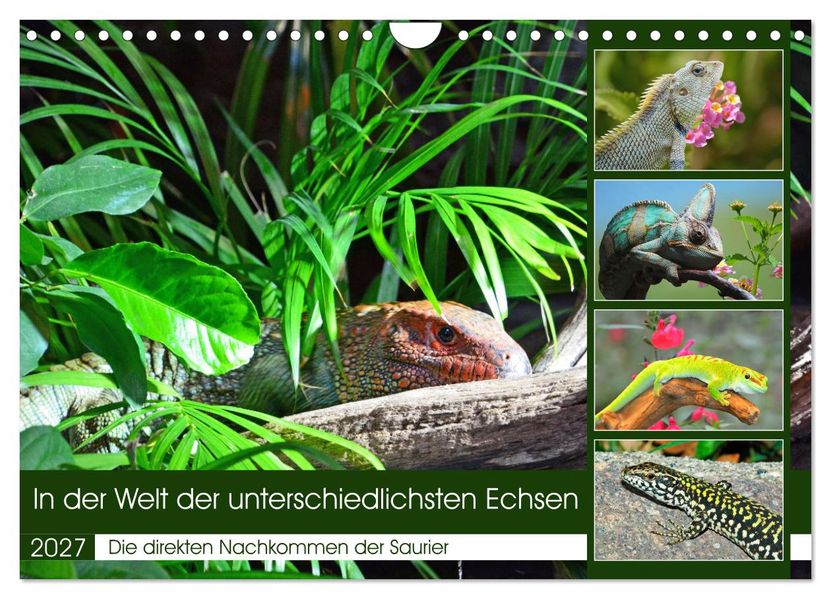 In der Welt der unterschiedlichsten Echsen (Wandkalender 2027 DIN A4 quer) CALVENDO Monatskalender