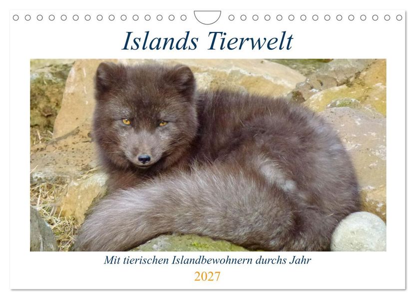 Islands Tierwelt - Mit tierischen Inselbewohnern durchs Jahr (Wandkalender 2027 DIN A4 quer) CALVENDO Monatskalender