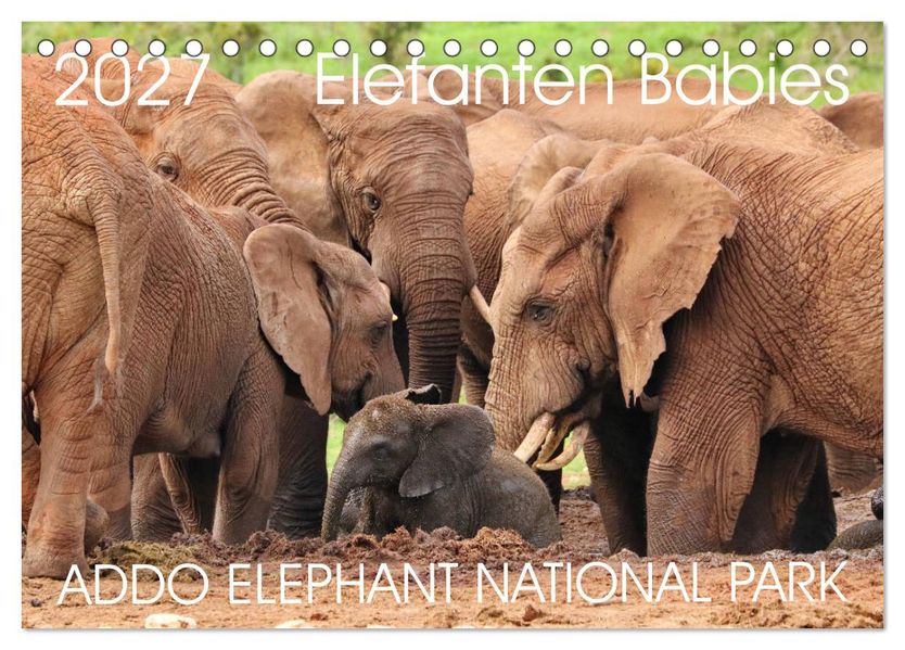 ADDO ELEPHANT NATIONAL PARK Elefanten Babies (Tischkalender 2027 DIN A5 quer) CALVENDO Monatskalender