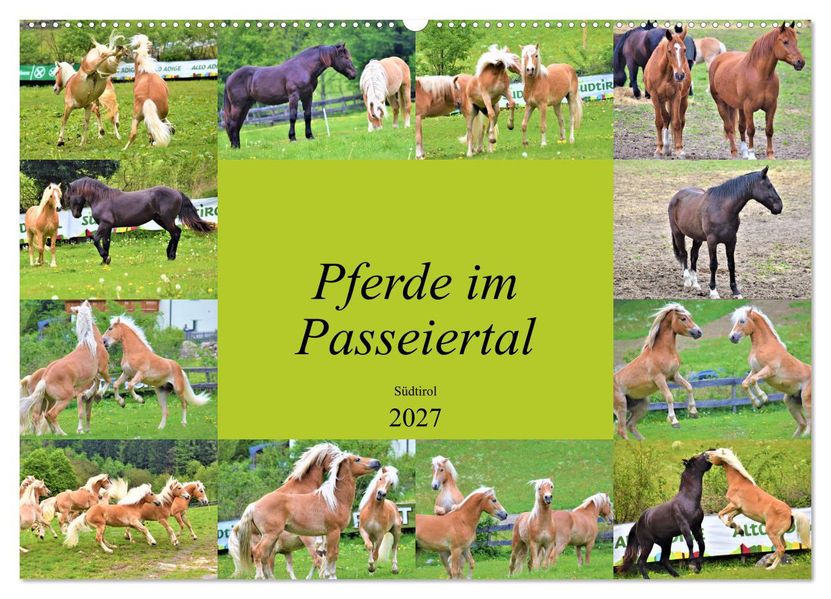 Pferde im Passeiertal (Wandkalender 2027 DIN A2 quer) CALVENDO Monatskalender
