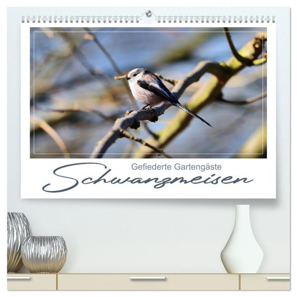 Gefiederte Gartengäste Schwanzmeisen (hochwertiger Premium Wandkalender 2027 DIN A2 quer) Kunstdruck in Hochglanz