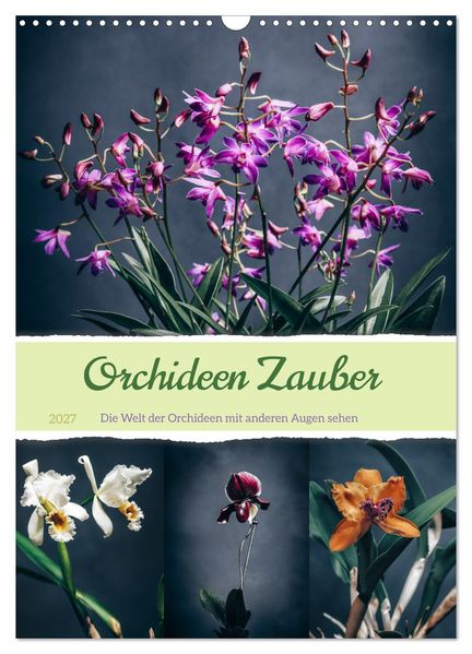 Orchideen Zauber (Wandkalender 2027 DIN A3 hoch) CALVENDO Monatskalender