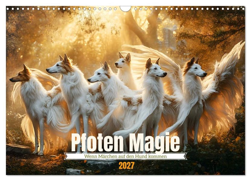 Pfoten Magie (Wandkalender 2027 DIN A3 quer) CALVENDO Monatskalender