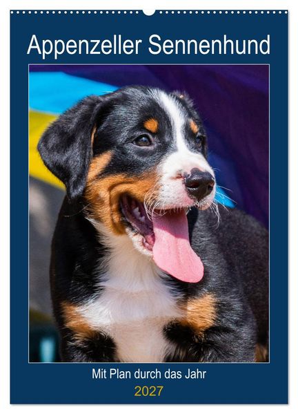 Appenzeller Sennenhund - Mit Plan durch das Jahr (Wandkalender 2027 DIN A2 hoch) CALVENDO Monatskalender