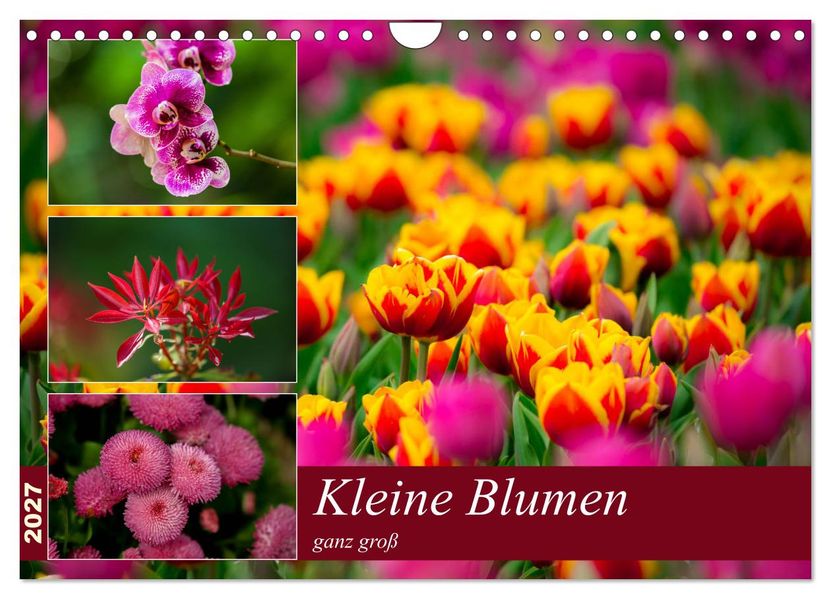 Kleine Blumen ganz groß (Wandkalender 2027 DIN A4 quer) CALVENDO Monatskalender