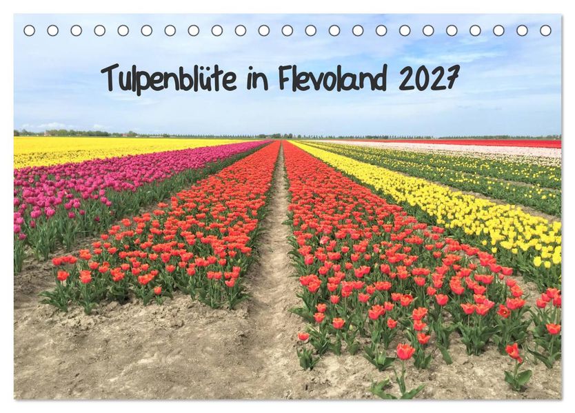 Tulpenblüte in Flevoland 2027 (Tischkalender 2027 DIN A5 quer) CALVENDO Monatskalender