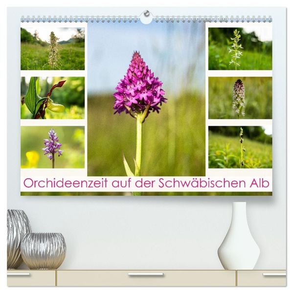 Orchideenzeit auf der Schwäbischen Alb (hochwertiger Premium Wandkalender 2027 DIN A2 quer) Kunstdruck in Hochglanz