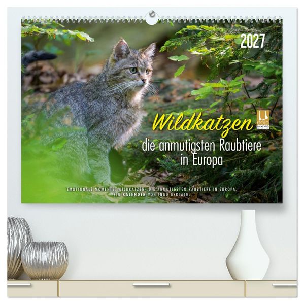 Wildkatzen - die anmutigsten Raubiere in Europa. (hochwertiger Premium Wandkalender 2027 DIN A2 quer) Kunstdruck in Hochglanz