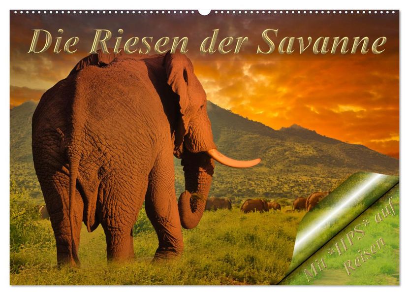 Die Riesen der Savanne (Wandkalender 2027 DIN A2 quer) CALVENDO Monatskalender