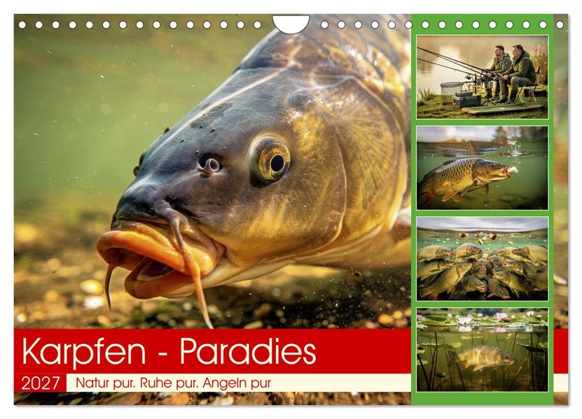 Karpfen - Paradies (Wandkalender 2027 DIN A4 quer) CALVENDO Monatskalender