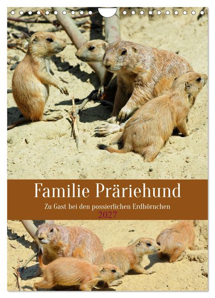 Familie Präriehund (Wandkalender 2027 DIN A4 hoch) CALVENDO Monatskalender