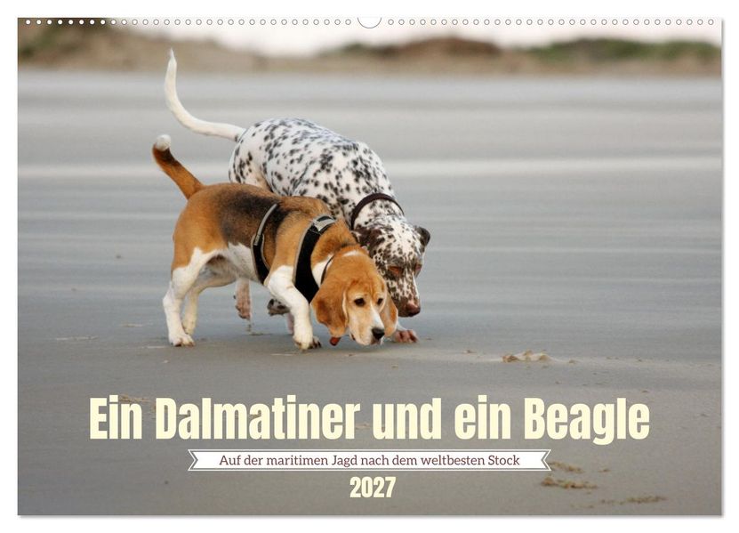 Ein Dalmatiner und ein Beagle - Auf der maritimen Jagd nach dem weltbesten Stock (Wandkalender 2027 DIN A2 quer) CALVENDO Monatskalender