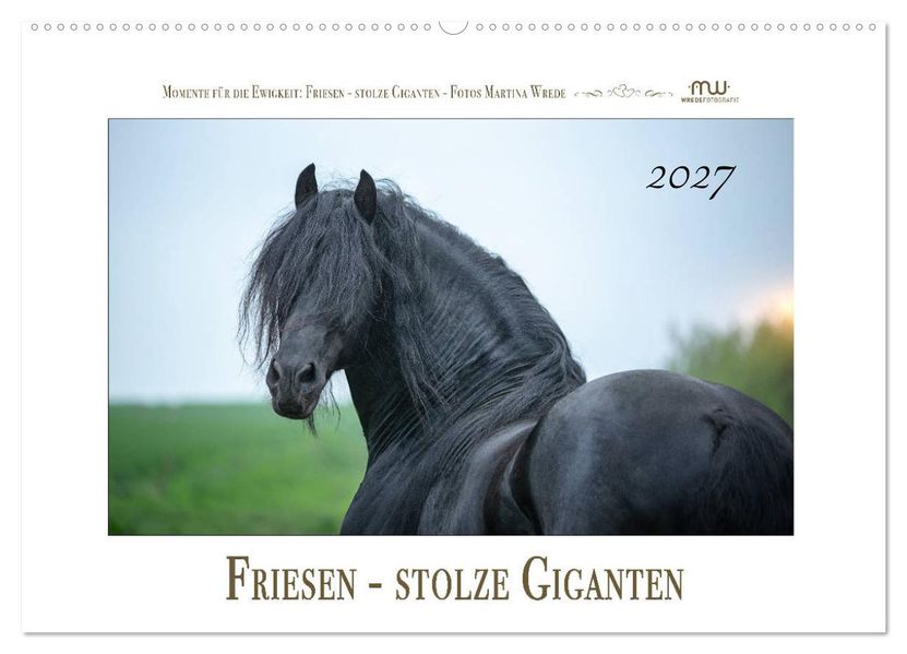Friesen - stolze Giganten (Wandkalender 2027 DIN A2 quer) CALVENDO Monatskalender