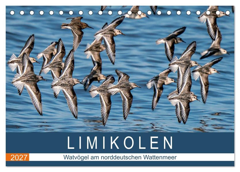 Limikolen - Watvögel am norddeutschen Wattenmeer (Tischkalender 2027 DIN A5 quer) CALVENDO Monatskalender