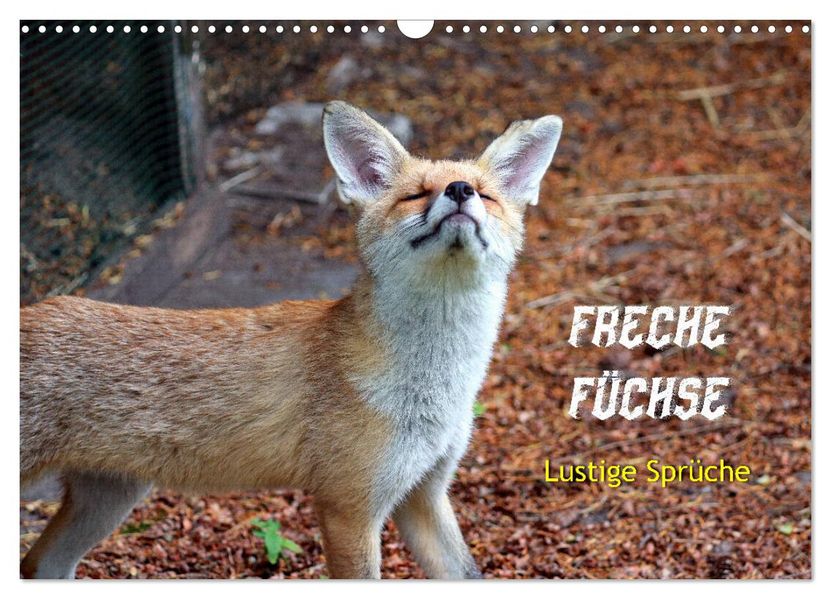 Freche Füchse - lustige Sprüche (Wandkalender 2027 DIN A3 quer) CALVENDO Monatskalender