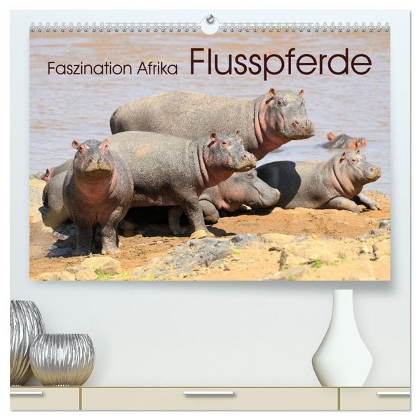 Faszination Afrika: Flusspferde (hochwertiger Premium Wandkalender 2027 DIN A2 quer) Kunstdruck in Hochglanz