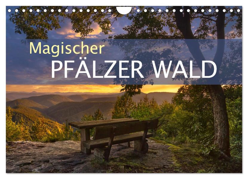 Magischer Pfälzer Wald (Wandkalender 2027 DIN A4 quer) CALVENDO Monatskalender