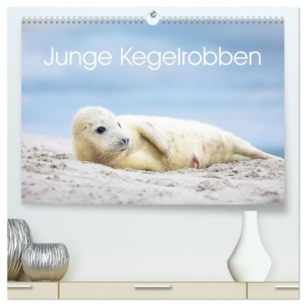 Junge Kegelrobben (hochwertiger Premium Wandkalender 2027 DIN A2 quer) Kunstdruck in Hochglanz