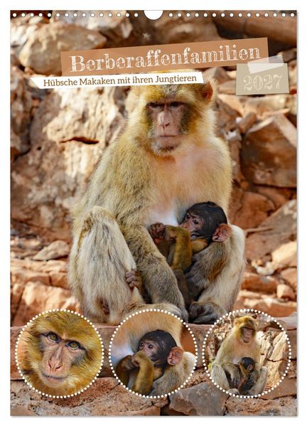 Berberaffenfamilien (Wandkalender 2027 DIN A3 hoch) CALVENDO Monatskalender