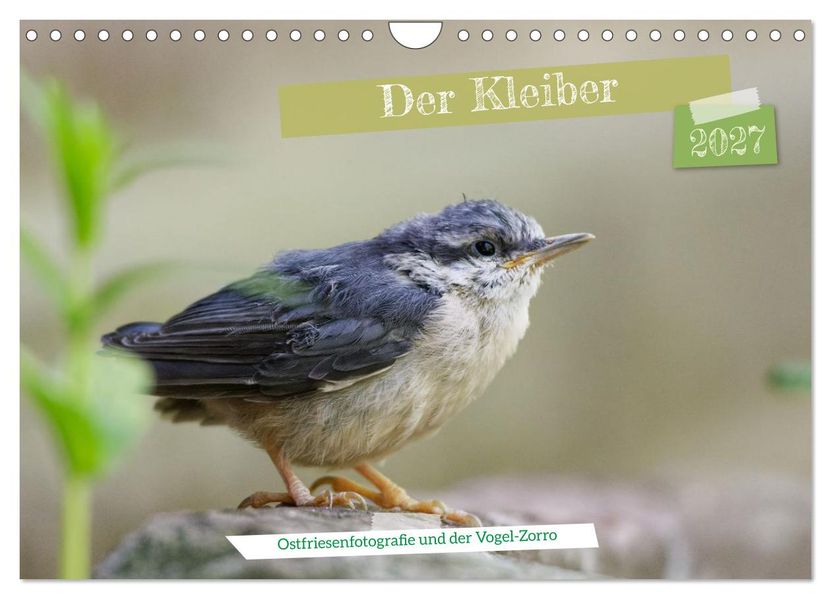 Der Kleiber - Ostfriesenfotografie und der Vogel-Zorro (Wandkalender 2027 DIN A4 quer) CALVENDO Monatskalender